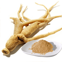 Экстракт корня женьшеня